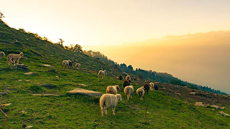 Jammu And Kashmir
